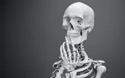 Whiplash Woes? How Chiropractic Care Can Guide Your Recovery and Rehabilitation